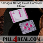 Kamagra 100Mg Gelée Comment Utiliser 32